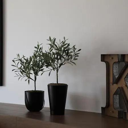 Pegasus & Макарська