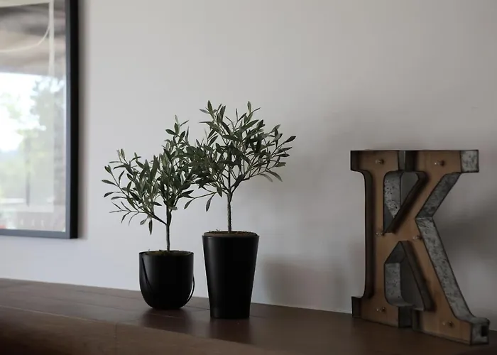 Pegasus & 马卡尔斯卡